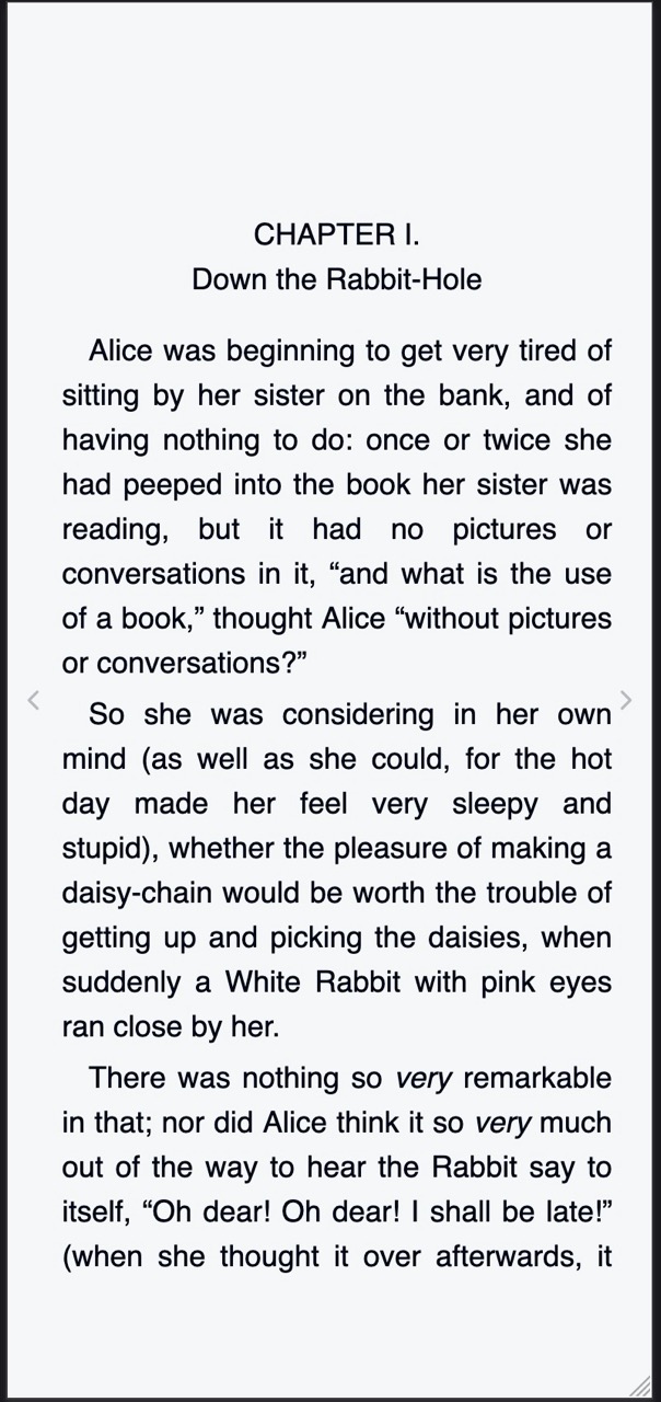 BlueReader reader screen on mobile.